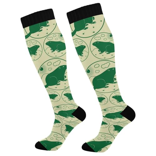 Dussdil Green Groundhog Day Compression Socks for Women Men Christmas Circulation Long Knee Socks for Winter Warm Stockings Socks