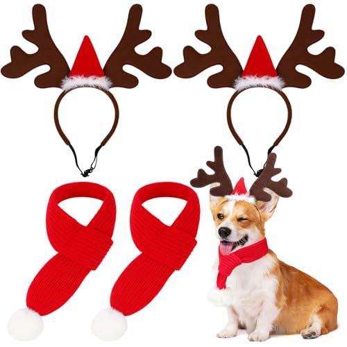 Set de disfraces navideños Sadnyy para perros pequeños y medianos