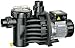 Produktbild Speck - Pumpen 2191042738 Badu Magic 4 Filterpumpe