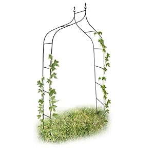 Relaxdays Trellis boog metaal gebogen 240 cm, royale rozenboog met kant, klimhulp en tuindecoratie voor buiten, groen