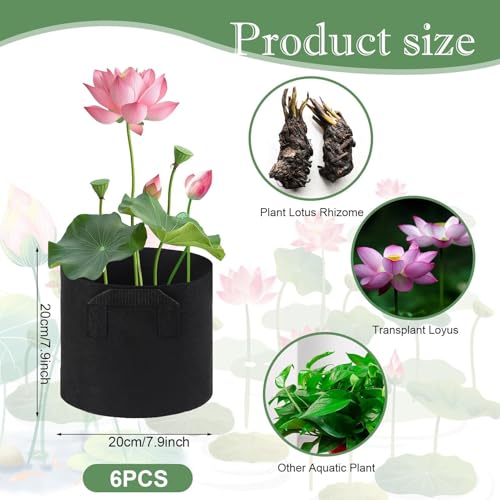 Cesta de plantas de estanque idónea para decorar terrazas con estanques y acuarios modernos 7