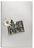 30 x 40 cm Blomus 66747 Magnettafel 30 x 40 cm Muro, Silber