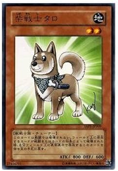 Amazon.co.jp: 【遊戯王カード-アニバーサリーパック-】柴戦士タロ
