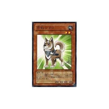 【激レア！？】遊戯王　エラーカード　柴戦士タロ　ふりがなズレ 51CgqFlyn6L._AC_UL210_SR210,