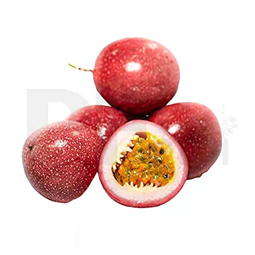 PF FARM Red Purple Passion Fruit -- Fresh Sweet Good Smell --3lbs (Florida No.3)