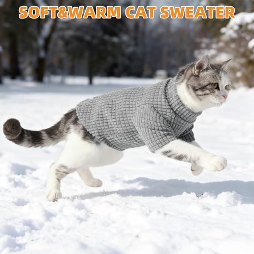 #1 Best 1 - Premium Pet Apparel Set - Image 6