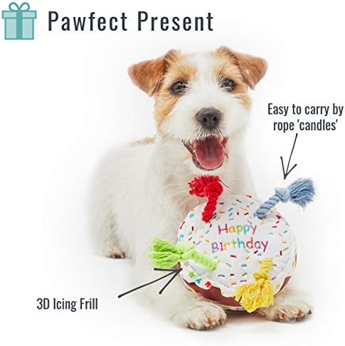 Pet London Dog Birthday Cake Squeaky Soft Plush Toy with Rope Candles in Fun Happy Bright Colours - Celebrate Your Dog's Happy Birthday - Plush Rainbow Pattern Dog Party Bday or Adoption Gift (Large)