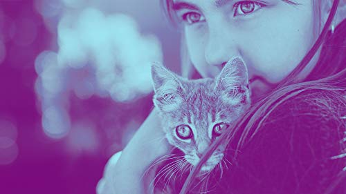 image for Adobe Photoshop Elements 2021 | PC/Mac Disc