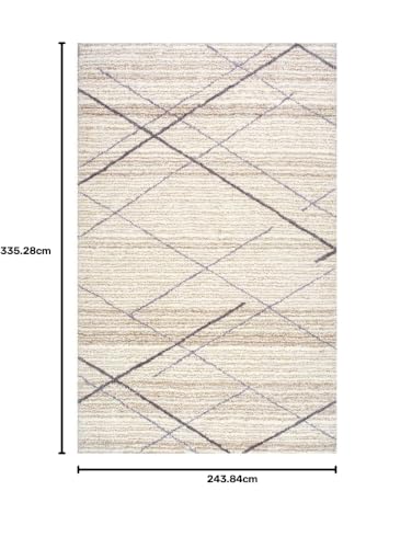 Image of Shaggy Carpet for Living Room 8 X 11 FEET Fluffy Plush Area Rug, Thick Fur Floor Carpet Modern Cozy Rug for Home Decor, Kids Room Bedside Hall, Durable Comfortable Shaggy Rug (Beige,)