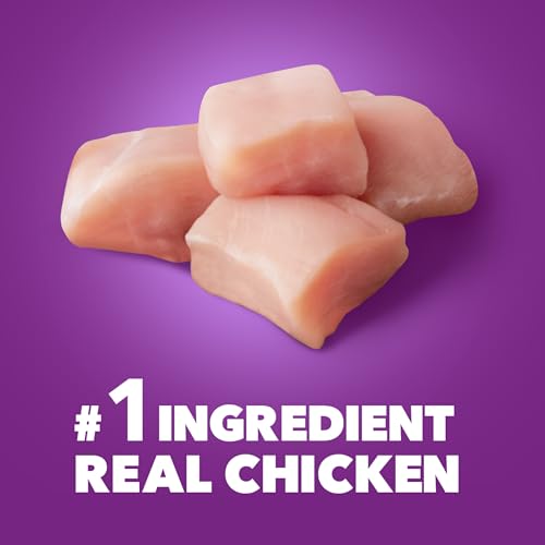 IAMS-Advanced-Health-Skin-Coat-Chicken-and-Salmon-Recipe-Adult-Dry-Dog-Food-36-lb-Bag-Brown IAMS Advanced Health Skin Coat Chicken and Salmon Recipe Adult Dry Dog Food 36 lb Bag Brown