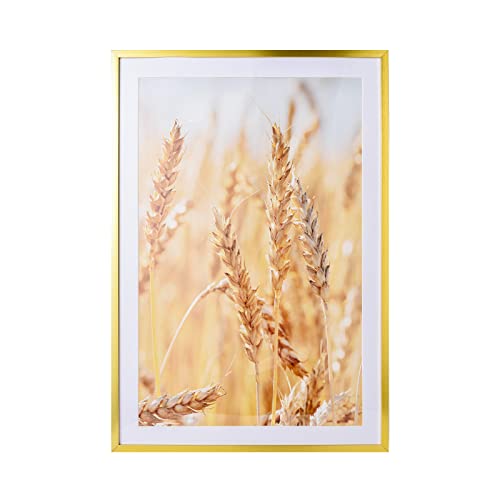 Wyooxoo 13X19 Picture Frame Poster Frame Display Pictures 11X17 With Mat Or 13X19 Picture Without Mat , Gold Metal Frames Wall Gallery Photo Frames With Plexiglass #TOP21