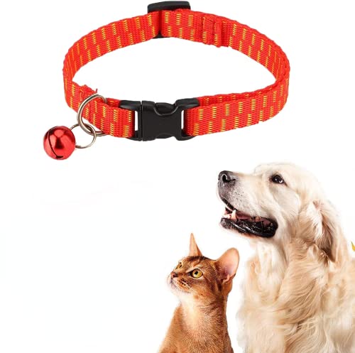 L  L̎ pm~ }_jƂ&悯 L̎ 6 t E IV Lpi ݂̂Ƃ ߉\