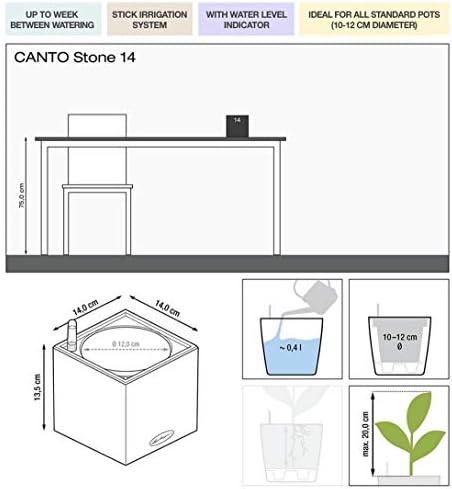LECHUZA CANTO Stone 14 Self Watering Planter Small Flower Plant Pot Indoor Table Planter without Drainage Hole with Plant Substrate Poly-Resin H14 L14 W14 cm Graphite Black