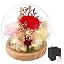 Bright Red Rose