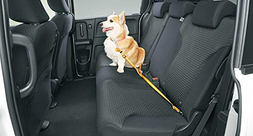 HONDA Genuine Honda NBOX N-BOX Pet Car Lead, M Size, 2017.8 ~ Specifications Changed, 08Z41-E6K-000D