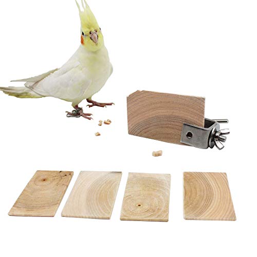 Bird Chewing Toy Natural Wood Cookies Toy with Stainless Steel Food Holderï¼Bird Cage Foraging Toys Set With a Vegetables Fruits Clampï¼Parrot Biting Snacks for Parakeet Cockatiel Conure (6 Pack)