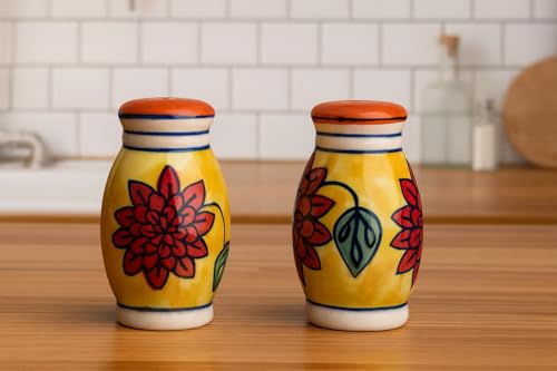 Image of HS HINDUSTANI SAUDAGAR Phoolkari Spice Salt and Pepper Ceramic Salt Shaker dispensers Set of 2(50ml Each) Spice Container & Sprinkler for Dinning Table Kitchen Ideal for Home Daily use and Gifting.