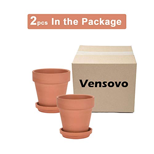 20CM Clay Pot for Plant with Saucer - 2 Pack Large Terra Cotta Plant Pot with Drainage Hole, Clay Planters Pot, Terracotta Pot for Indoor Outdoor Plant