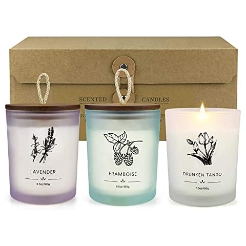 Scented Candles Set 3 Pack 6.5 Oz Soy Wax Jar Candles Lavender Berries Orchid Aromatherapy for Her Home Fragrance Relaxing Candles for Women Gift Package for Mum Girlfriend Gift Valentine's Day Cover