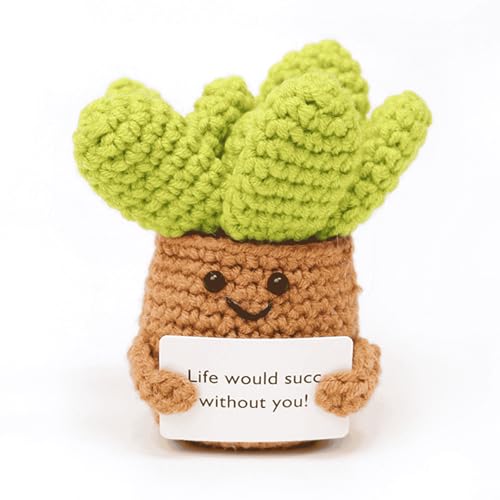 Succulent crochet fait main pour décoration maison et voiture