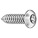 Tamper Screw, Button, 10, 1 1/4, PK25
