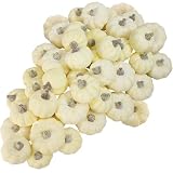 Winlyn 48 Pcs Mini Artificial Pumpkins Faux Cream Baby Boo Pumpkins Foam Pumpkins 1.8' 2.1' for Fall Harvest Thanksgiving Table Centerpiece Halloween Autumn Wedding Baby Shower Wreath Bowl Fillers