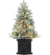 Amazon.com: 3 FT Christmas Tree，Pre-Lit Christmas Tree Tabletop
