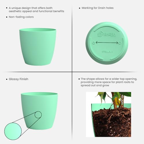 Image of YUCCABE ITALIA SHERA Stella 6 Inch Plastic Plant Pot for Home Decor Indoor Plant Pots for Living Room Plastic Flower Pot for Garden (Seagreen, 6 INCH - 6 Pcs)