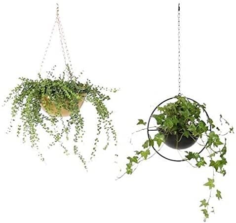 Suspension en métal pour pot de fleurs afin de libérer l'espace au sol - 5