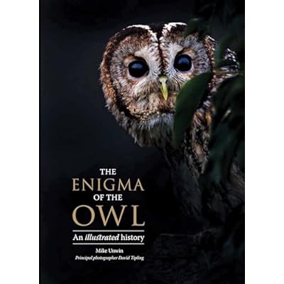 The Enigma of the Owl