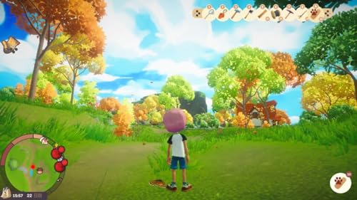 SOFTSOURCE『EverdreamValley』