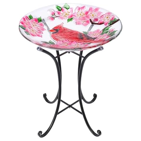 VCUTEKA 18-Inch Glass Bird Bath Cover
