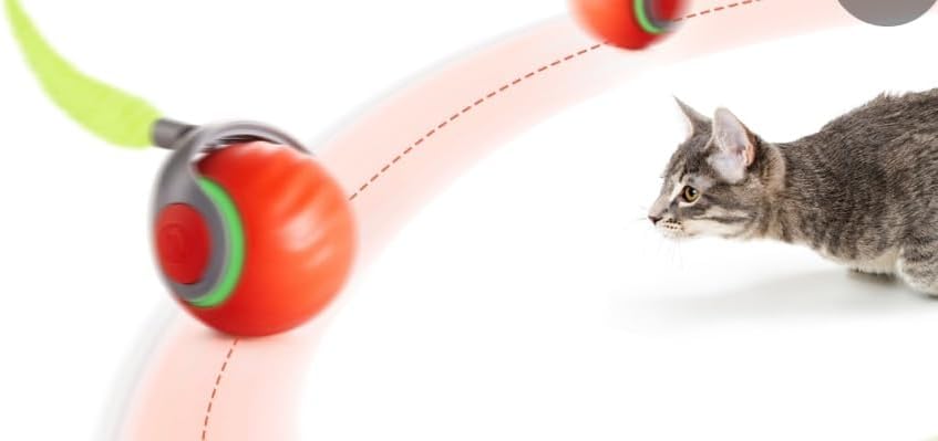 Rolling Ball Cat Toy, Red, Interactive with Feather Tail, USB Rechargeable image 5