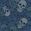 Navy Skulls