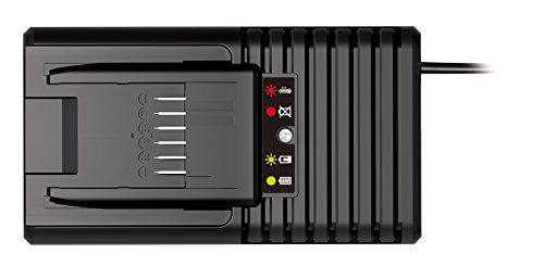 WORX WA3868 20V PowerShare & 18V 60-Minute Quick Battery Charger
