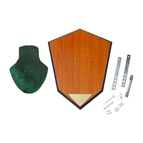 Allen Company Antler Mounting Kit With Skull Cover & Engraveable Plaque, Green, One Size #TOP2