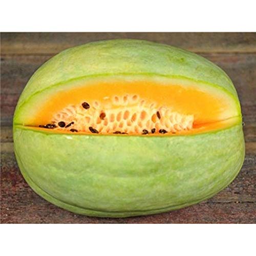 Desert King Watermelon Seeds (25 Seed Package)