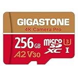 【5-Years Data Recovery】GIGASTONE 256GB Micro SD Card, 4K Camera Pro, A2 V30 for Smartphone, Gopro, Action Cams, 4K UHD Video, Nintendo-Switch Compatible, Up to 100MB/s, UHS-I U3 C10 with Adapter