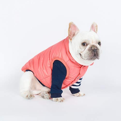 Meioro Dog Coat Vest For Small Medium Dogs Warm Cotton Puppy Jacket With Leash Hole, Windproof Winter Dog Outfits Apparel Pet Clothes For Indoor And Outdoor Use (Pink, X-Small) #TOP3