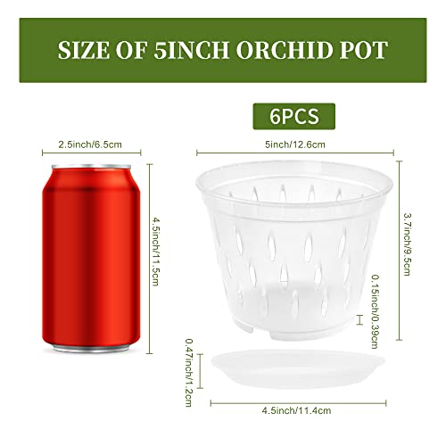 Lanccona 6 Pack 5 Inch Clear Orchid Pots With Holes And Saucers Orchid Pot For Plant And Repotting #TOP1
