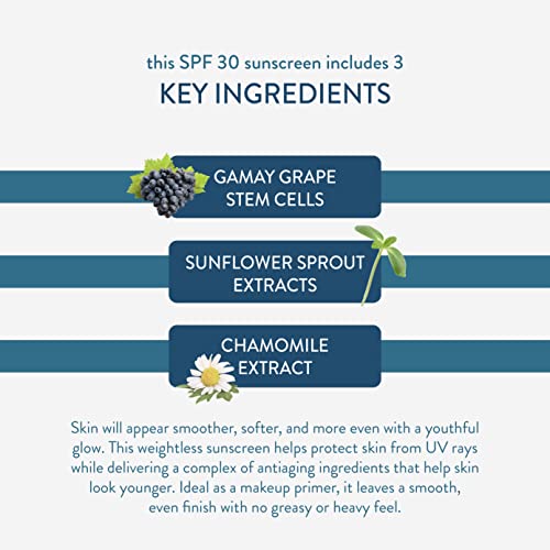 Lancer Skincare Sheer Fluid Sun Shield, Broad-Spectrum Spf 30 Sunscreen, 2 Fl Oz #TOP1