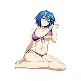 Pegatinas de coche High School DxD Xenovia Quarta Render Cartoon Car Styling Vinilo Ventana de coche
