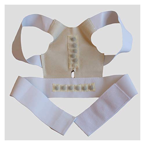 ×pRZbg obNu[X p V_[u[X X|[c Cp w㕔T|[g AzCg-XXL