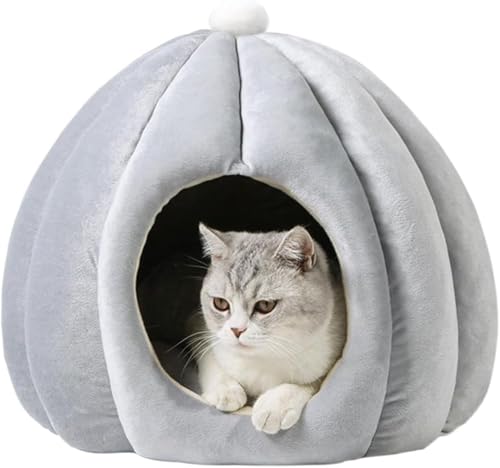 L xbh ybg nEX h[^ ӂӂ  J{` _炩 NbVt \tg ~ 􂦂 Q g h Lbg ^  ybgpi ~ (t[,O[)