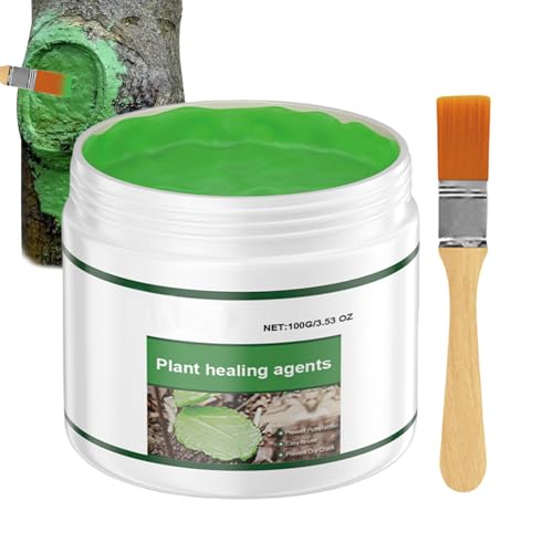 植物癒合剤 植物成長調整剤 100g 剪定後に塗る 切り口保護剤 ブラシ付き 水分と栄養素の維持 癒し 治癒クリーム 木および創傷処理 傷保護 育苗 切断 切り傷の治癒 長持ちする 家庭菜園 花の低木 農場 園芸用品
