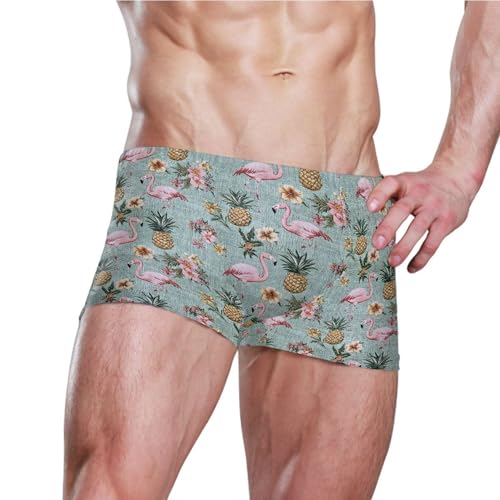 Pink Flamingo Pineapple Mens Swim Trunk Swimwear Bathing Suit Swim Brief Square Leg Board Short S B04038573