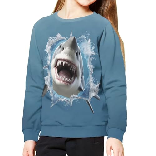 Girls Boys Sweatshirt Fall Outfit Kids Comfy Sweaters Pullover Tops 6-14 Years Old2