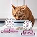 catz finefood Classic Collection Katzenfutter nass Mix-Paket - Gourmet Nassfutter für Ihre Katze ohne Zucker & Getreide, glutenfrei - mit hohem Fleischanteil, Made in Germany (6 x 800g Dosen)