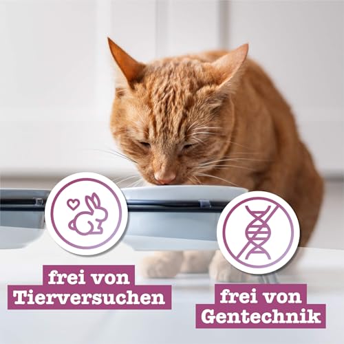 catz finefood Classic Collection Katzenfutter nass Mix-Paket - Gourmet Nassfutter für Ihre Katze ohne Zucker & Getreide, glutenfrei - mit hohem Fleischanteil, Made in Germany (6 x 800g Dosen)