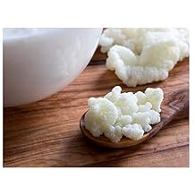 Milk Kefir Grains Live Fresh Mesophilic Starter to Make Drinkable Yogurt Bacteria from Mesophilic Cultures